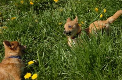 May7_06_779.JPG