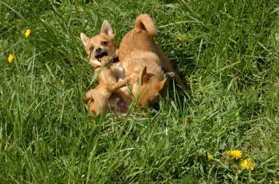 May7_06_783.JPG