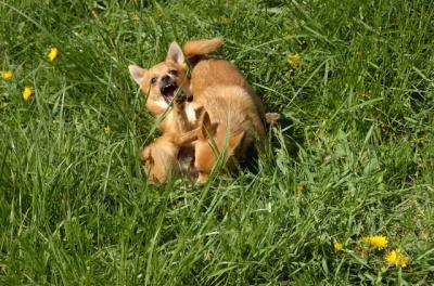 May7_06_784.JPG