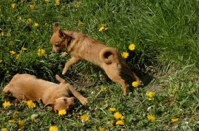 May7_06_790.JPG