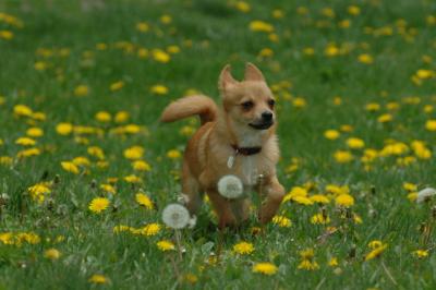 May7_06_798.JPG