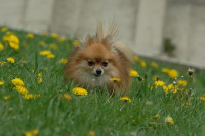 May7_06_804.JPG