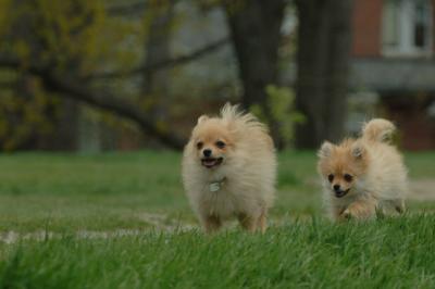 May7_06_811.JPG