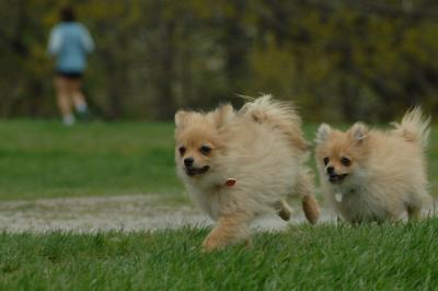 May7_06_817.JPG