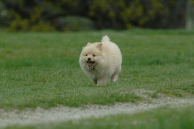 May7_06_823.JPG