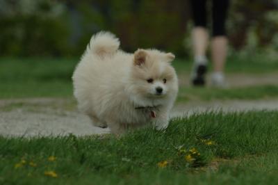 May7_06_837.JPG