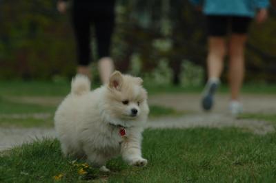 May7_06_838.JPG