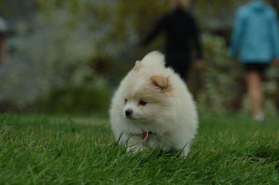 May7_06_841.JPG