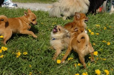 May7_06_584.JPG