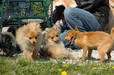 May7_06_589.JPG
