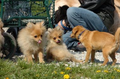 May7_06_590.JPG