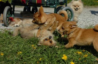 May7_06_598.JPG