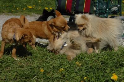May7_06_601.JPG