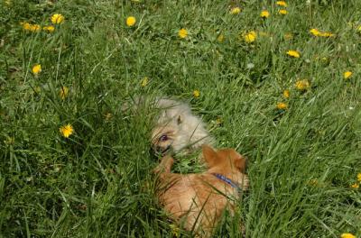 May7_06_602.JPG