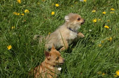 May7_06_603.JPG