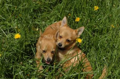 May7_06_609.JPG