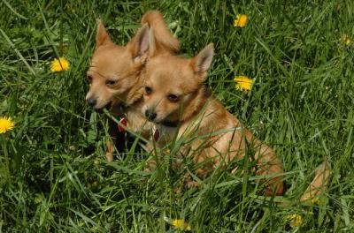 May7_06_610.JPG
