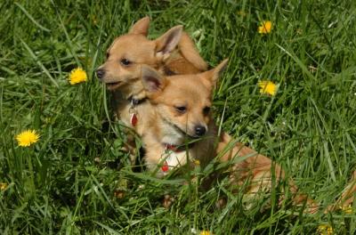 May7_06_611.JPG