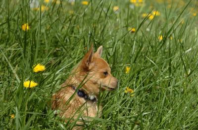 May7_06_620.JPG