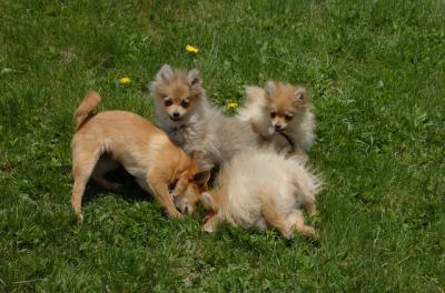 May7_06_433.JPG
