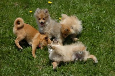 May7_06_436.JPG