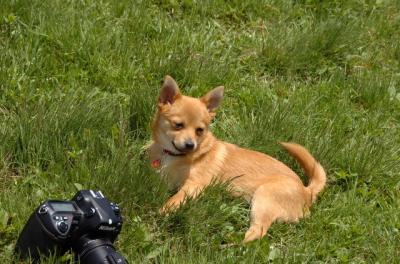 May7_06_438.JPG