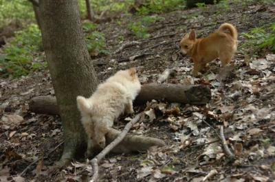 May7_06_441.JPG