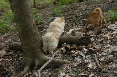 May7_06_442.JPG