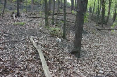May7_06_448.JPG