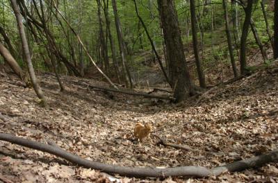 May7_06_477.JPG