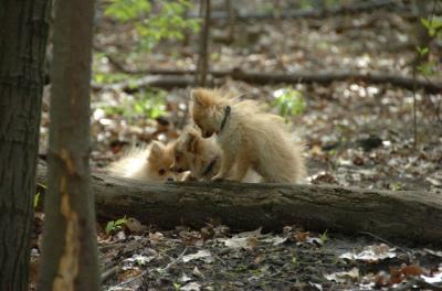 May7_06_478.JPG