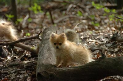 May7_06_479.JPG