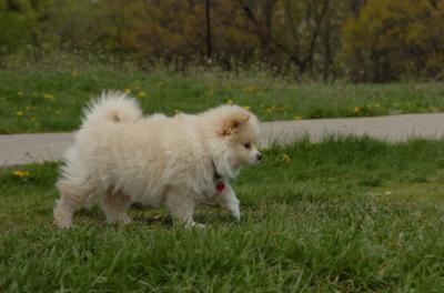 May7_06_292.JPG
