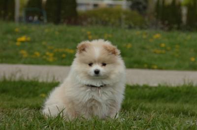 May7_06_293.JPG
