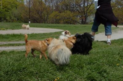 May7_06_294.jpg