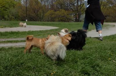 May7_06_295.jpg