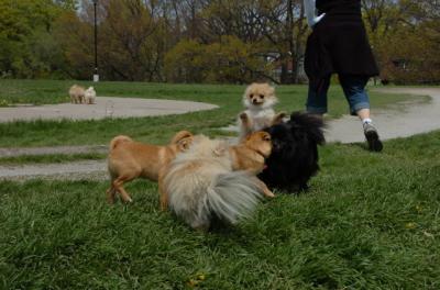May7_06_296.JPG