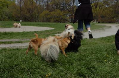 May7_06_297.JPG