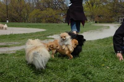 May7_06_298.JPG