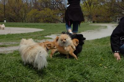 May7_06_299.JPG