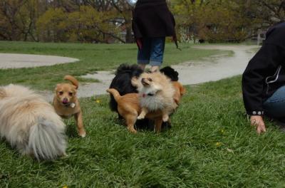 May7_06_302.JPG