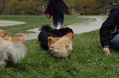 May7_06_304.JPG
