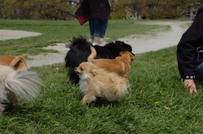 May7_06_305.JPG