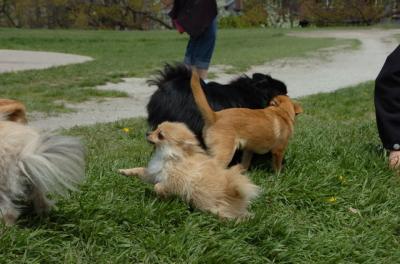 May7_06_306.JPG