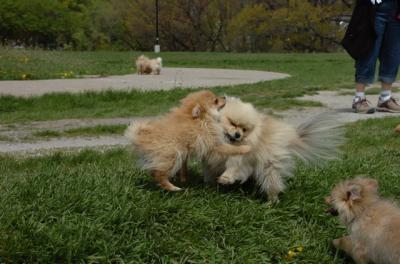 May7_06_308.JPG