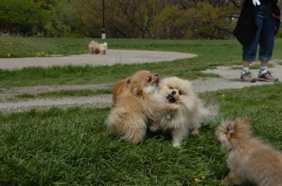 May7_06_309.JPG