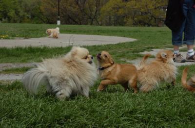 May7_06_310.JPG