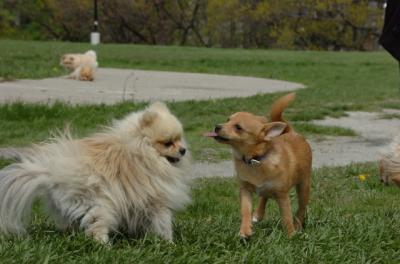 May7_06_312.JPG