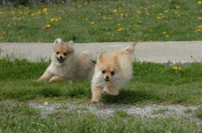 May7_06_315.JPG