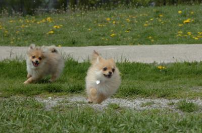 May7_06_316.JPG